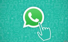 WhatsApp客户头像信息消失分析及解决