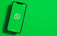 WhatsApp性别过滤是什么？有什么用？