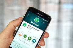 WhatsApp用户分类软件获取用户信息